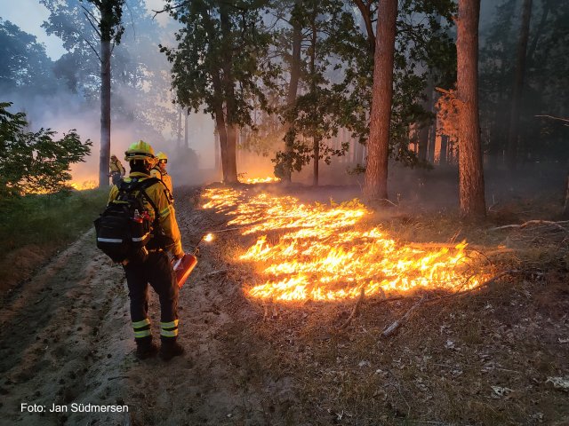 Vegetationsbrandbekämpfung – aktueller Stand bei den Feuerwehren in Deutschland Veranstaltung